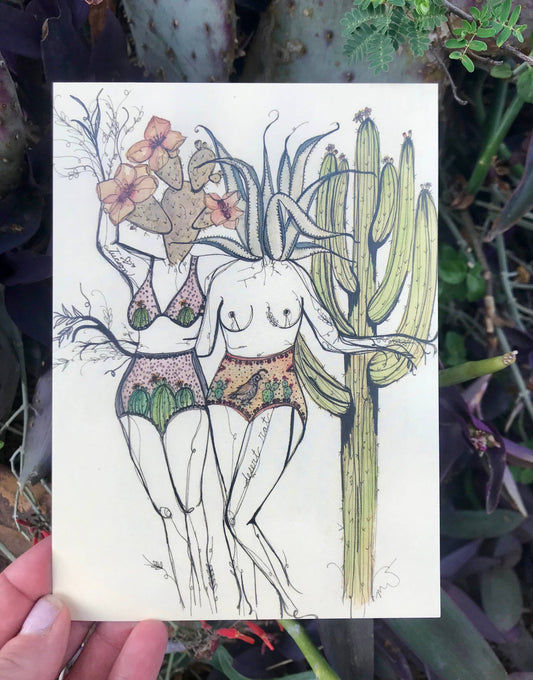 Desert Rats Postcard