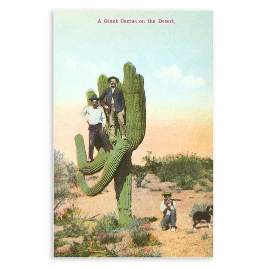 Men on Saguaro Cactus - Vintage Image Postcard