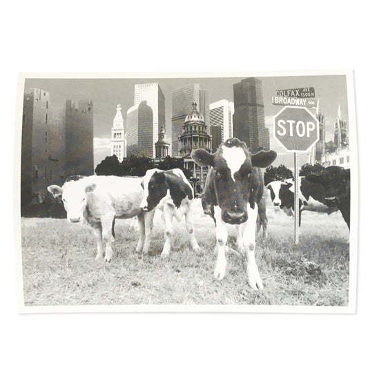 Cowtown Postcard