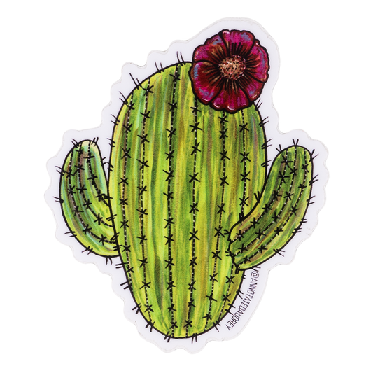 Cute Blooming Saguaro