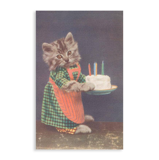 Dressed Kitten with Birthday Cake Vintage Image Postcard