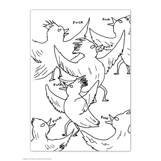 Birds Postcard
