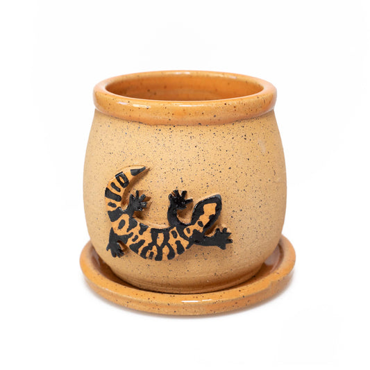 Gila Monster Hand Thrown Planter with Drainage Plate