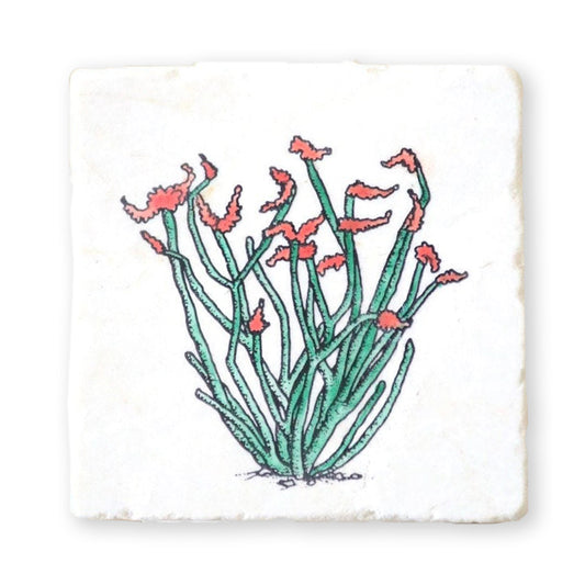 Ocotillo Marble Coaster