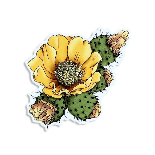 Paddle Cactus Blossom Sticker