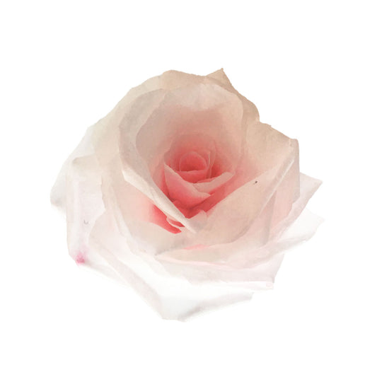 Paper Roses
