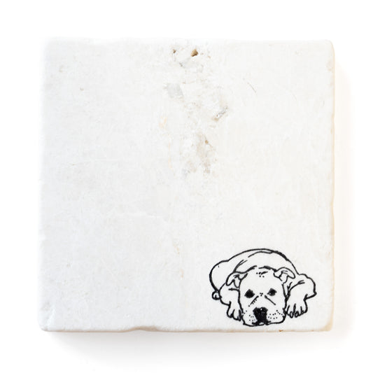 Pitbull Dog Marble Coaster