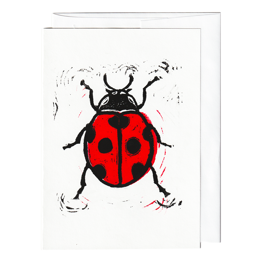 Ladybug print card