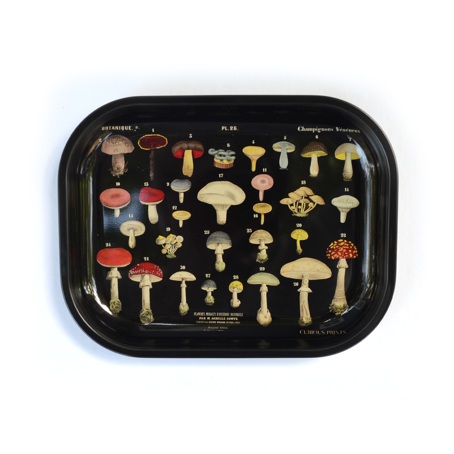 Metal Mushroom Ritual Tray Vintage Fungi Print