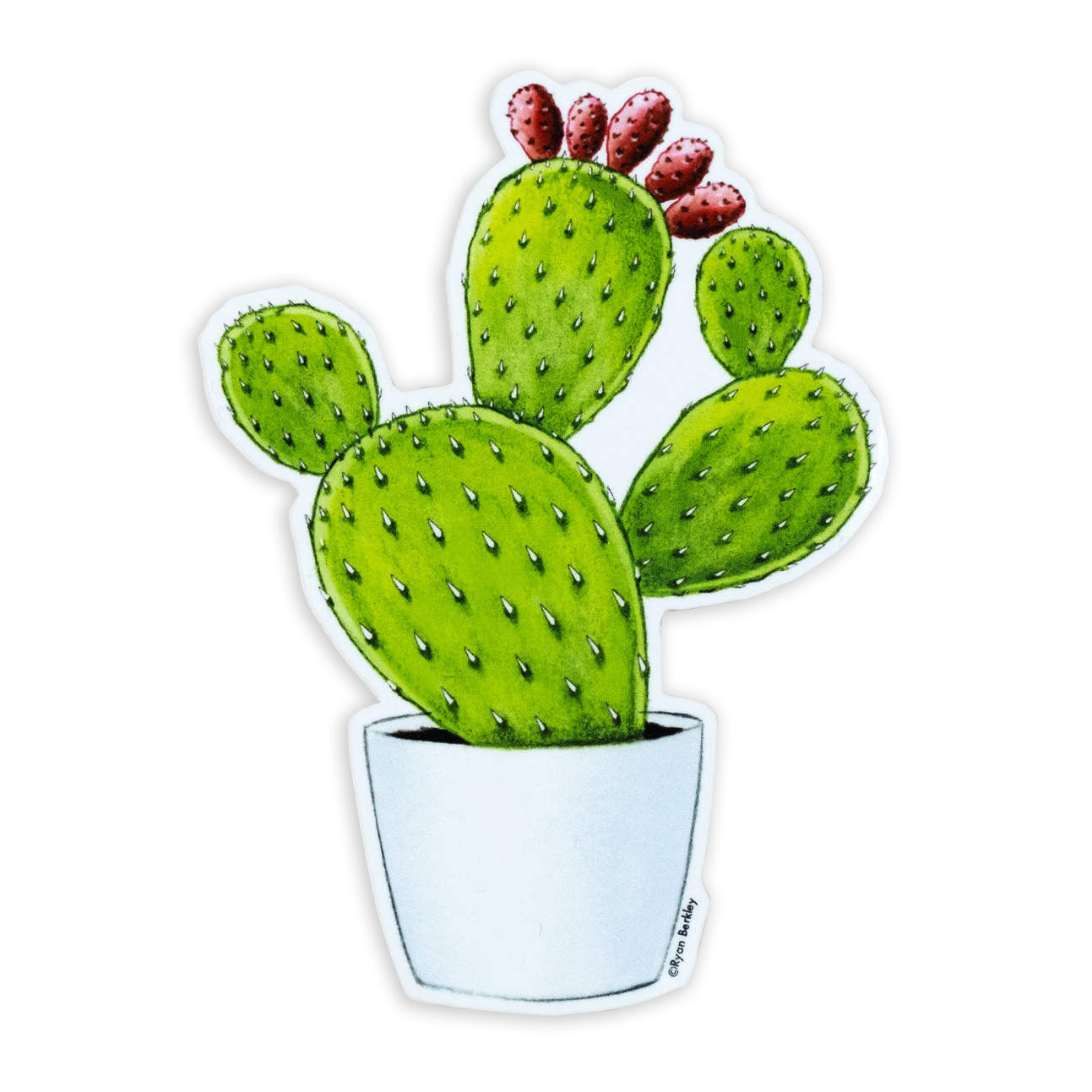Potted Prickly Pear Cactus Sticker