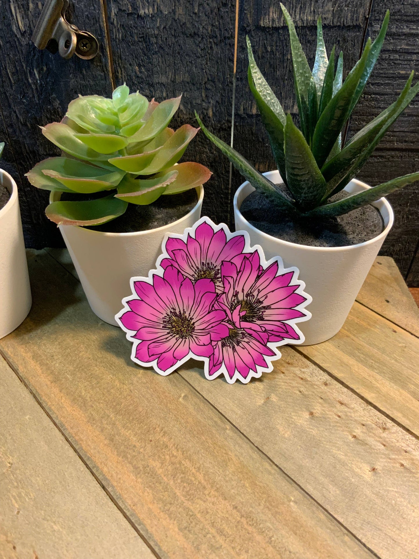 Bitterroot Flowers Sticker