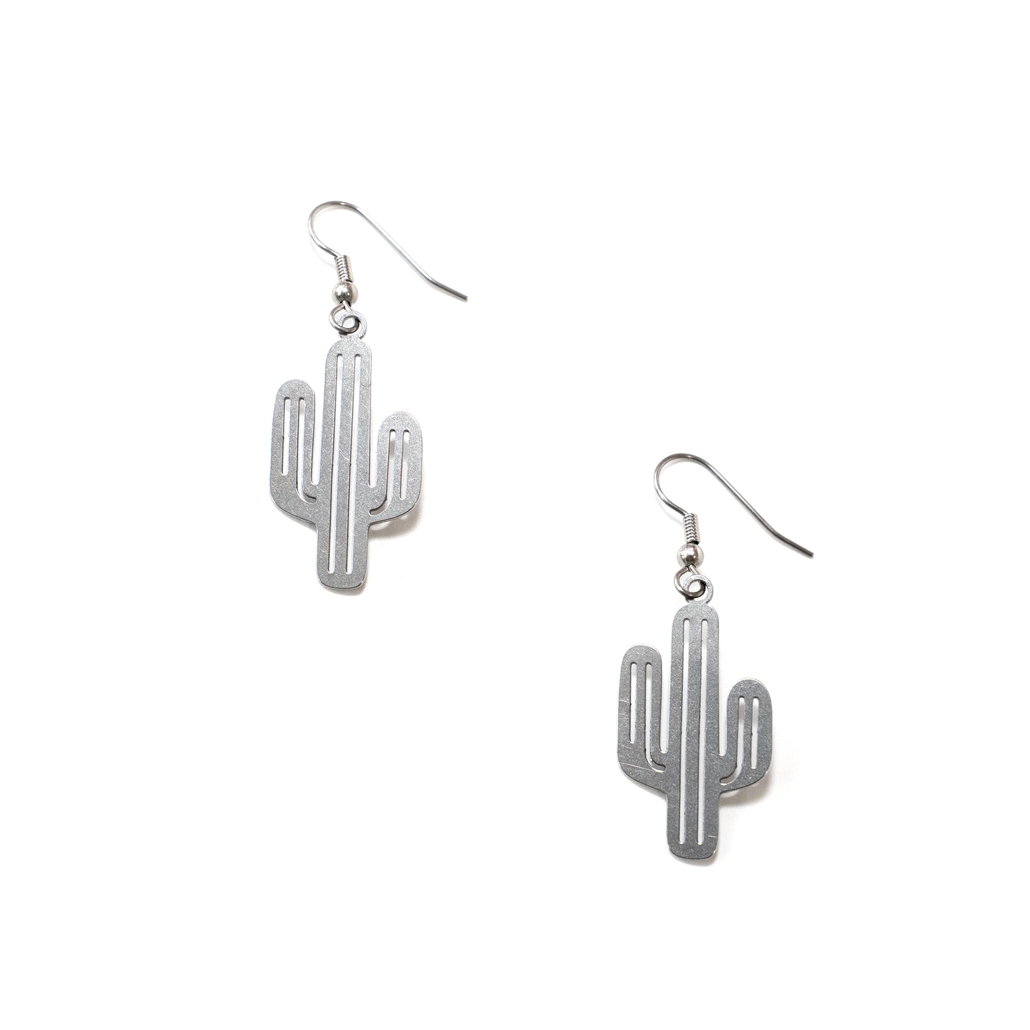 Saguaro Stainless Steel Charm Earrings